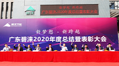 碧涞公司发展历程