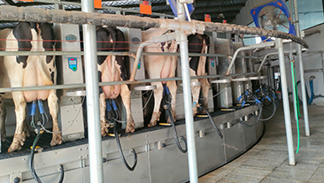 河北省唐山市某牧场高温热水案例