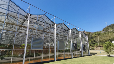 湖南省某恒温大棚恒温种殖项目案例