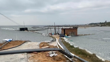 福建省厦门市漳浦县金刚虾养殖基地恒温养殖项目案例