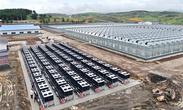 助力绿色农业发展！贵州3万平蔬菜大棚建设碧涞空气能采暖工程