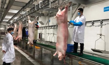 变废为宝：蒸汽热泵让高温余热回收效果更显著