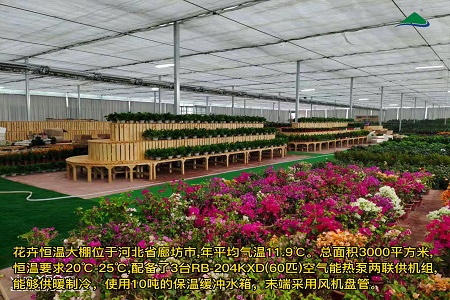 河北廊坊3000平方米温室大棚花卉种植恒温项目