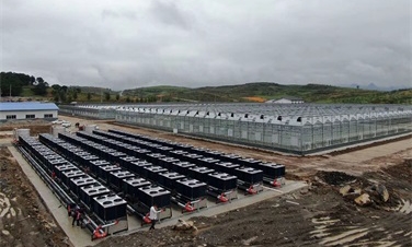 哪种大棚采暖方式更符合当下的绿色发展趋势