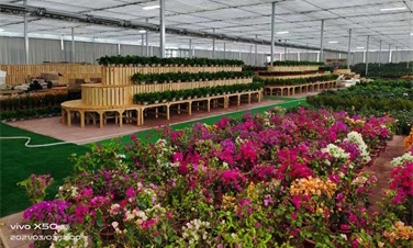 温室大棚恒温供暖就用空气能热泵设备