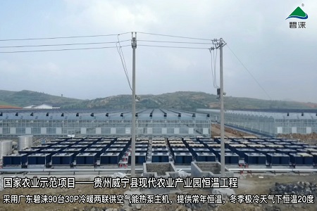 贵州威宁县现代农业产业园温室大棚种植恒温工程