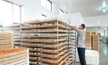 粮食烘干用热回收技术，搭配空气能高温热泵为农户减耗增收