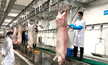 屠宰场节能改造就用碧涞高温蒸汽热泵