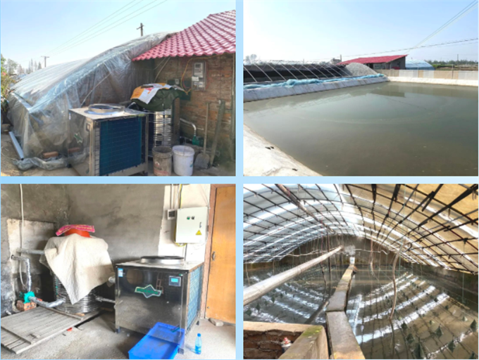 实力圈粉 引领全场丨热烈祝贺碧涞荣获“热泵养殖业优秀应用奖”