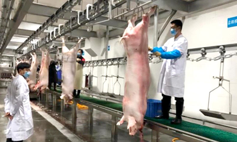 屠宰场节能改造就用碧涞高温蒸汽热泵