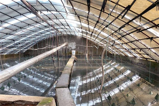 哪种水产养殖供暖设备更安全节能