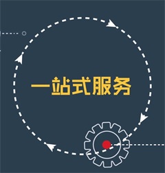 碧涞公司发展历程