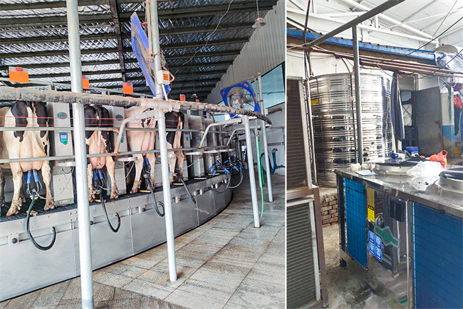 碧涞空气能热泵应用新突破，85℃高温热水助力牧场低碳化