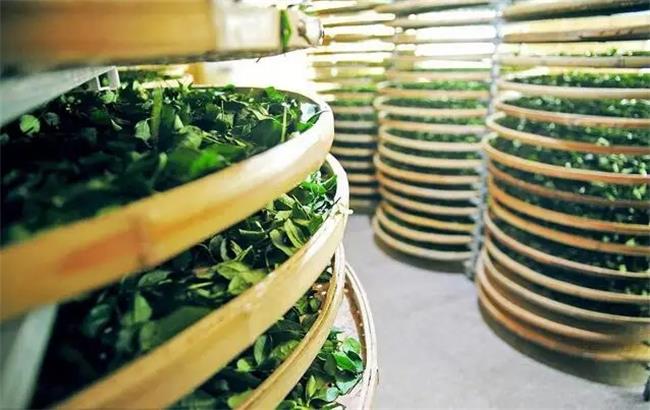 茶叶烘干节能改造，用空气能热泵更环保省电