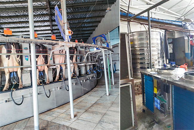 河北牧场高温热泵热水供应工程