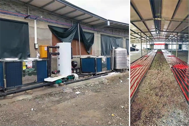 低温热泵采暖机组成贵州养猪场采暖神器