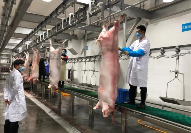 适用于屠宰行业热水需求的复叠式热泵系统