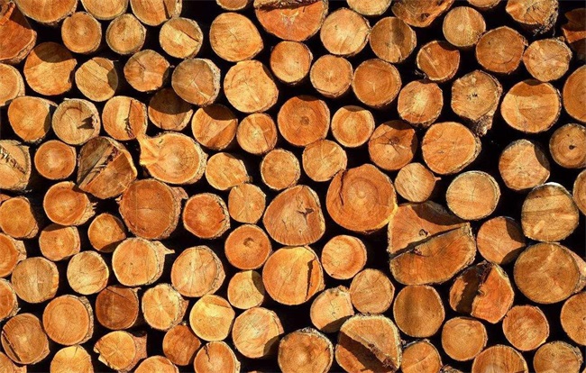 木材烘干热泵的功能及应用优势