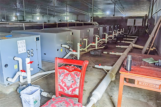 增产提效：水产养殖绿色发展就用空气能热泵