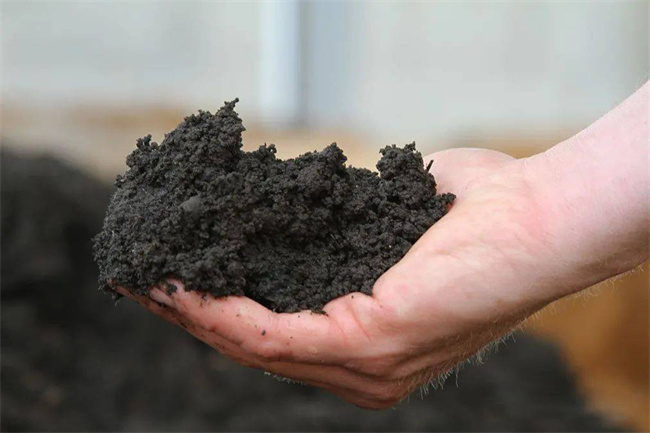 碧涞热泵烘干机:为化工行业低成本处理化工污泥带来新革命