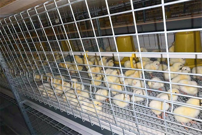 绿色养殖采暖用低温空气能供暖机，温暖经济更舒心