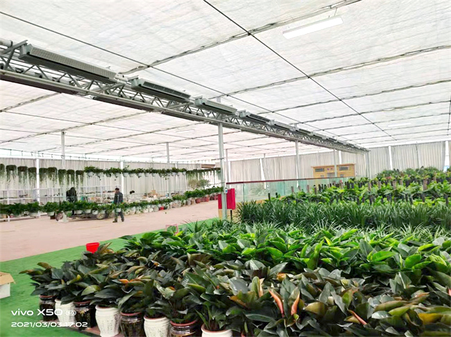 温室大棚用什么供暖设备更节能