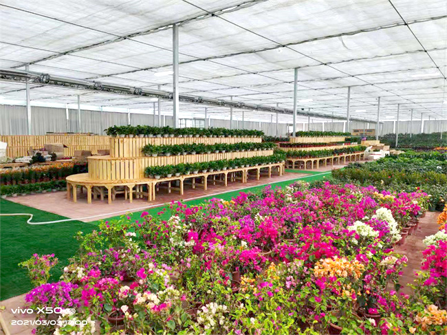 温室大棚用什么供暖设备更节能