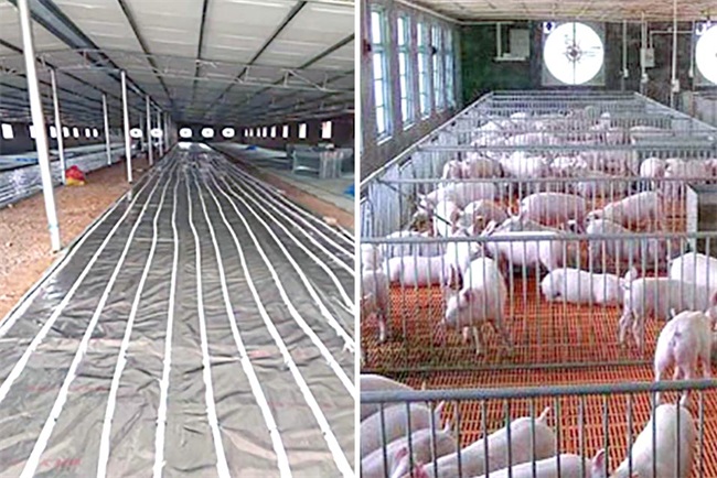 畜牧养殖场用哪个品牌的空气能供暖设备好