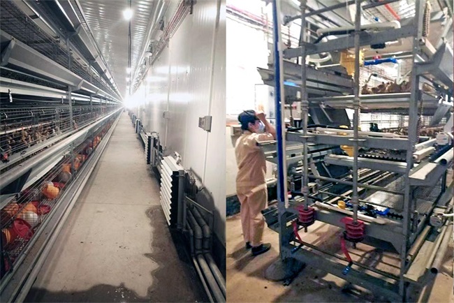 大型养鸡场恒温取暖用空气能热泵效果怎样