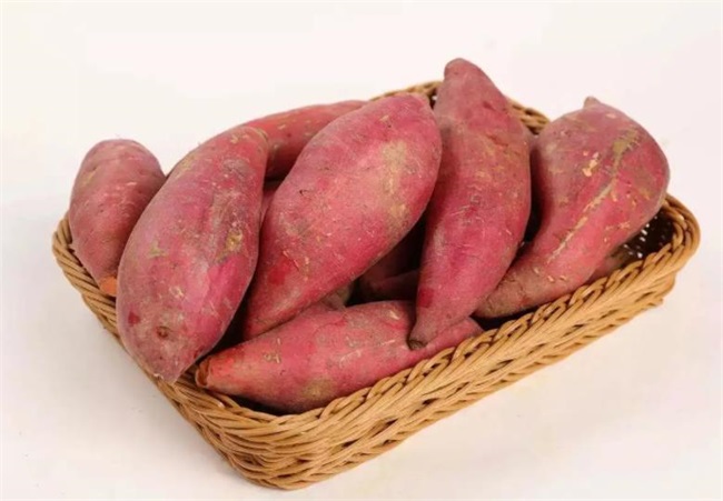 24小时不停机——高温热泵让红薯干干燥干净更节能