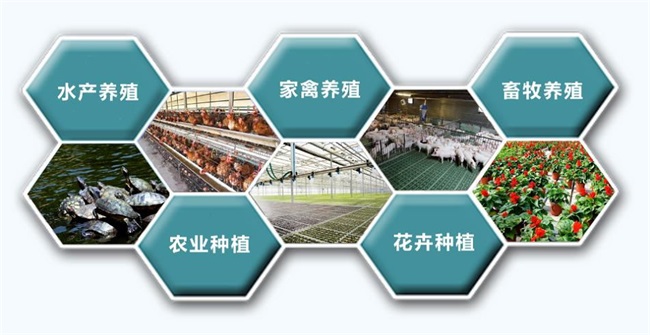 能实现四季恒温的水产养殖热泵品牌