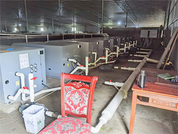 碧涞工程案例|福建鳗鱼恒温养殖水源热泵项目