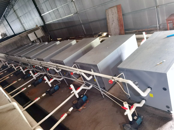 碧涞工程案例|福建鳗鱼恒温养殖水源热泵项目