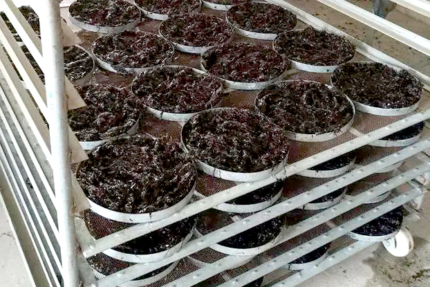 食品烘干碳中和产业园用空气能热泵,环保安全更高效省钱