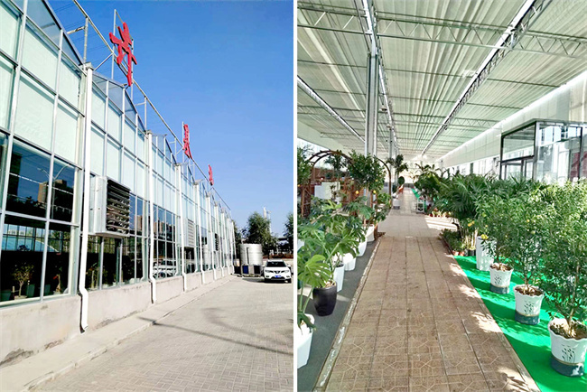 山西省太原市侯方花卉市场展厅恒温种植项目：碧涞空气能热泵助力打造舒适恒温环境