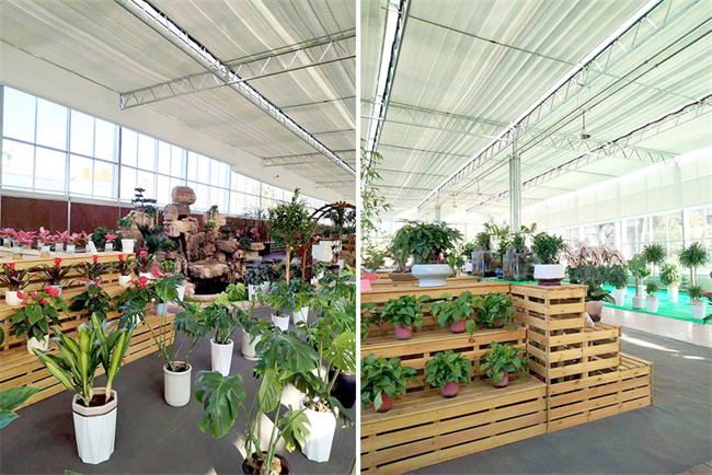山西省太原市侯方花卉市场展厅恒温种植项目：碧涞空气能热泵助力打造舒适恒温环境
