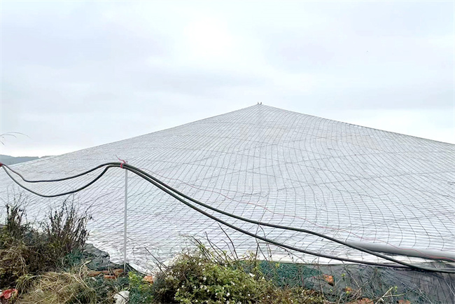 福建漳州漳浦斑节虾恒温养殖项目:碧涞变频恒温养殖热泵推动绿色、智能养殖新模式