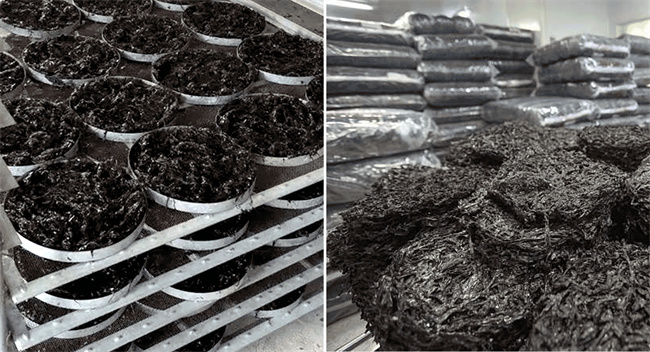 农产品烘干行业：探索可持续发展之道