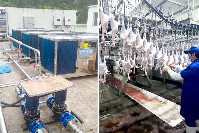 屠宰行业节能技改：空气源热泵助力绿色发展