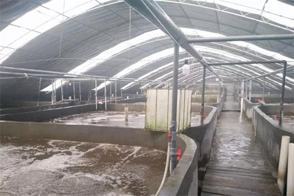 广东养殖场空气源采暖工程