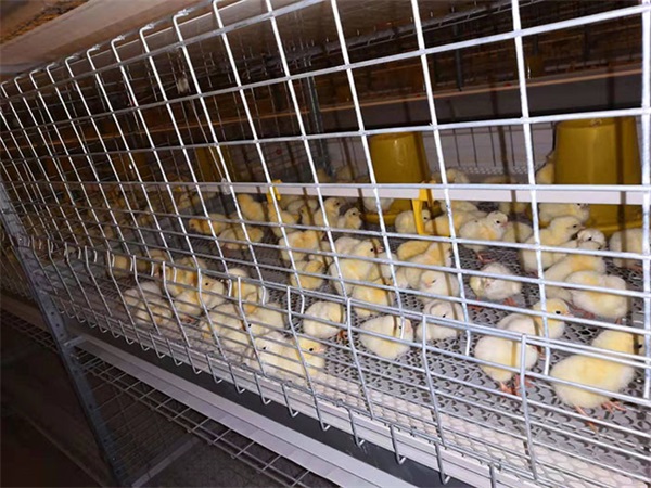 河北养鸡场空气源热泵系统品牌