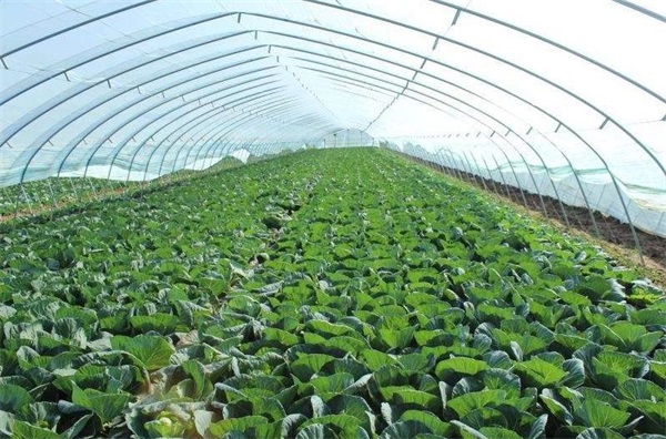 适合温室大棚采暖用的空气能热泵牌子