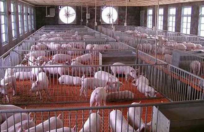 QQ图片20210831102125